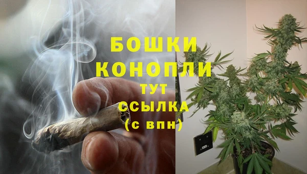 PSILOCYBIN Арсеньев