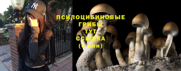 PSILOCYBIN Арсеньев