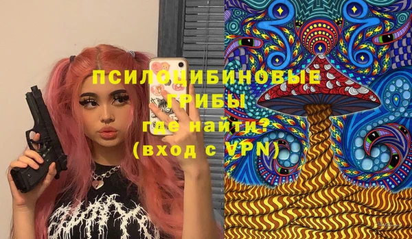 твердый Ростов