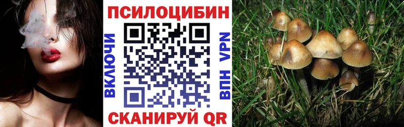 Галлюциногенные грибы Cubensis  закладки  Наволоки 